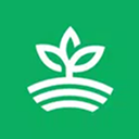 digital-services