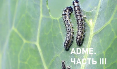Механизмы проникновения пестицидов. Часть 3
