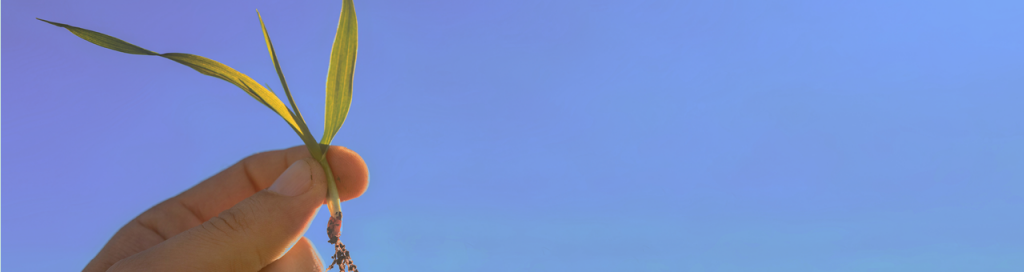 fiz_effect_kak_est.png fiz_effect_kak_est.png