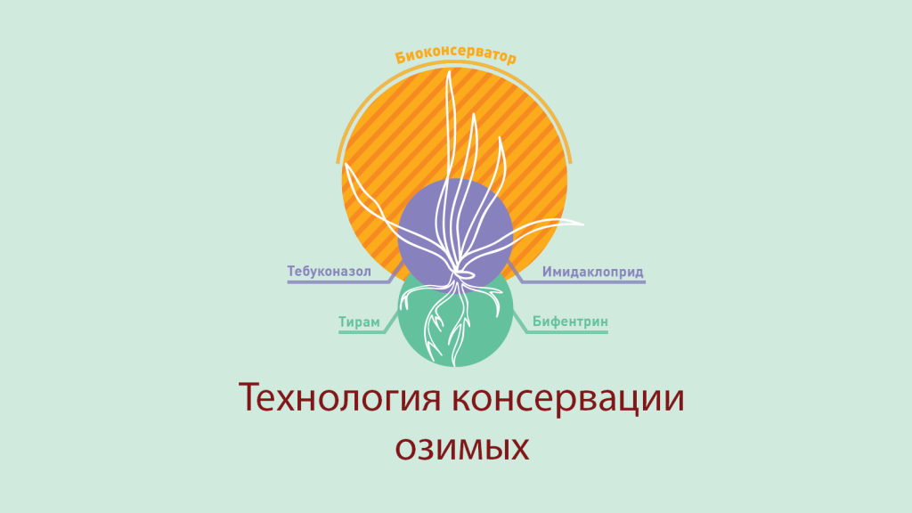 site16.png site16.png